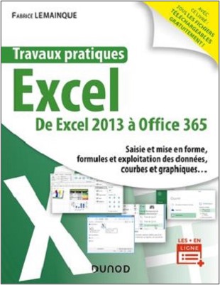 Travaux pratiques - Excel : De Excel 2013 à Office 365
